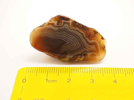 Lake Superior Agate (LSA) Face Polished - Parallax/Shadow Banding - 1.5in